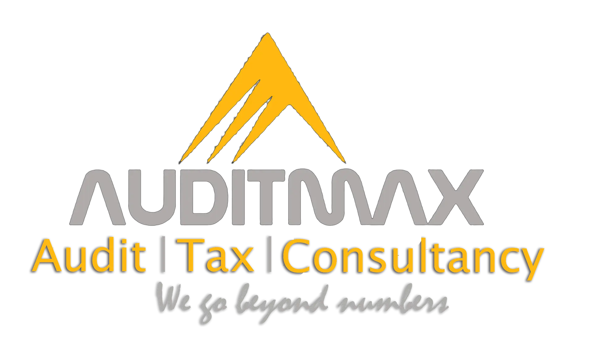 AuditMax Financial Consultancy